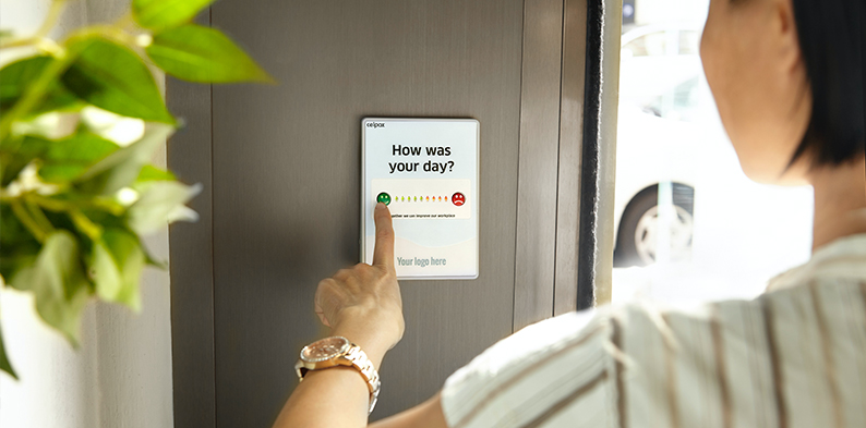 The Best Real Estate Lawyers and Zoning Law Expertise